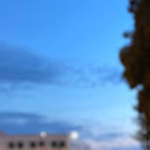 Meet your Posher, Alison